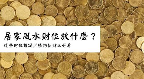 家裡財位要放什麼|2024 居家風水財位放什麼？選這些財位擺設／植物招。